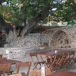 Land Of Olive فيلة