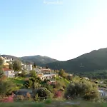 Land Of Olive *