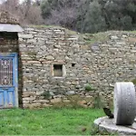 فيلة Land Of Olive