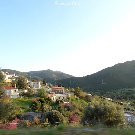Land Of Olive *