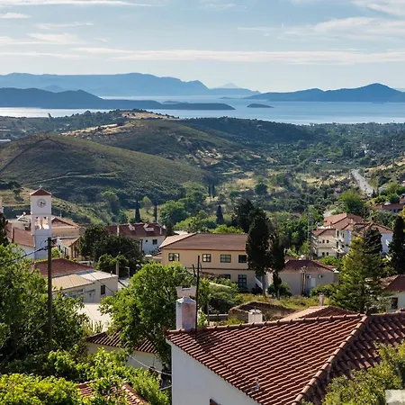 Land Of Olive Villa